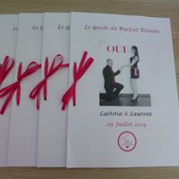 Notre Livret du Parfait Témoin DIY