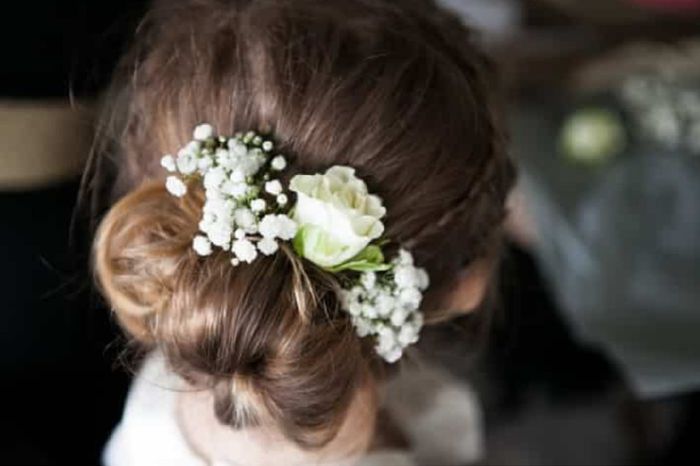 Inspis accessoires cheveux - 2