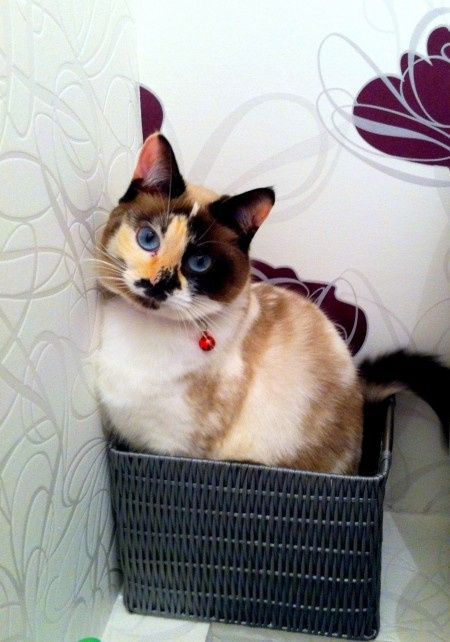ma fille :)