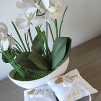 Coussins d'alliances - 1