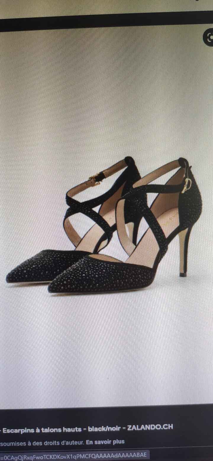Les chaussures de Cendrillon, ou presque ! - 1