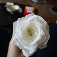 Tutoriel Rose en filtre à café pour boule - 2