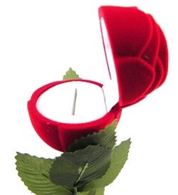 2 portes alliances??? - 1