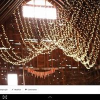 guirlandes lumineuses