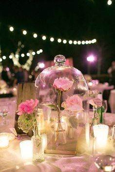 Une rose sous cloche pour la Belle et la Bête