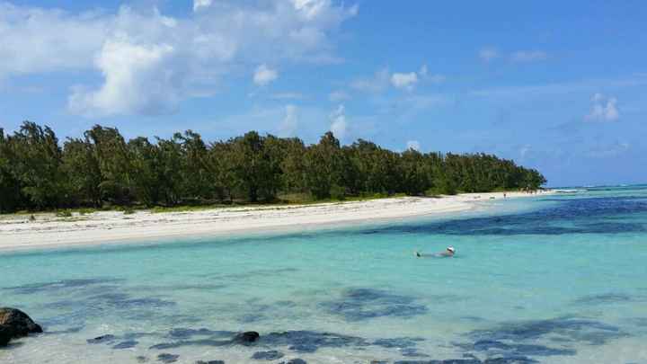 Dans 3 jours, on décolle pour l'île maurice - 1