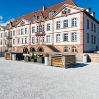 Domaine viticole avec charme en alsace - 1