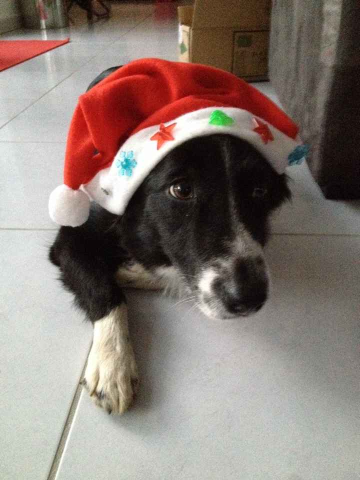 Déco de noël - 2