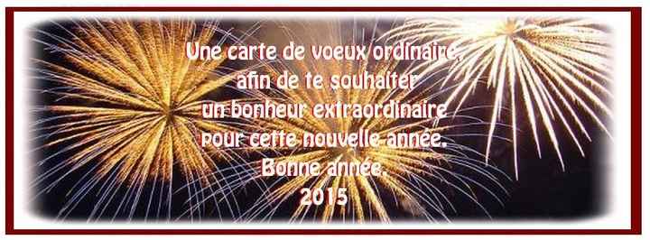 Bonne année 2015! c'est notre année  - 1