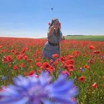 Aurélia