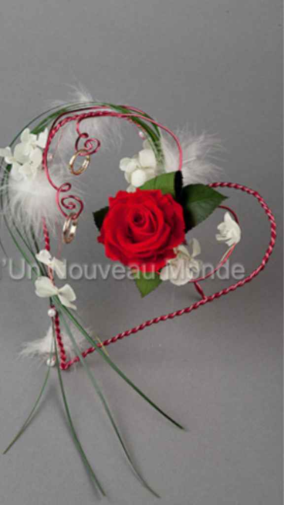 Livre porte alliance - 1