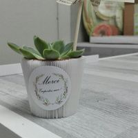 J-4  phase finition 😊 - 1