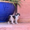Floriane