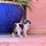 Floriane