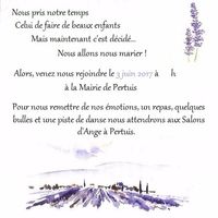 Faire-part verso champ de lavande