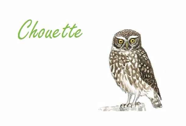 Chouette