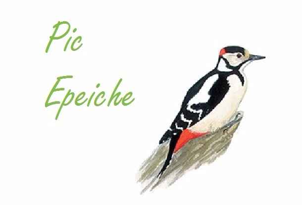 Pic Epeiche