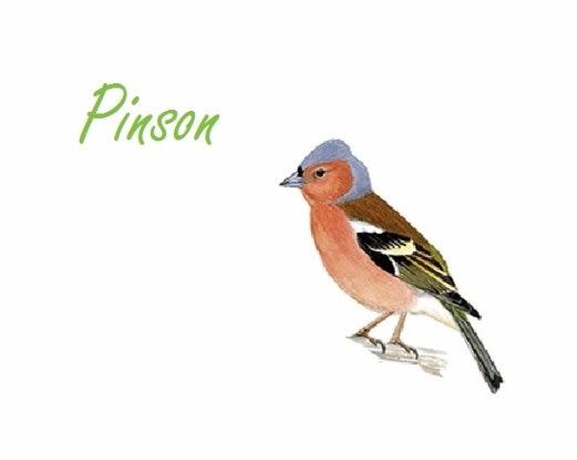 Pinson