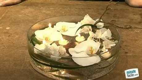 100% orchidées - 2