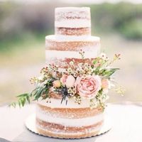 Notre Naked-Cake