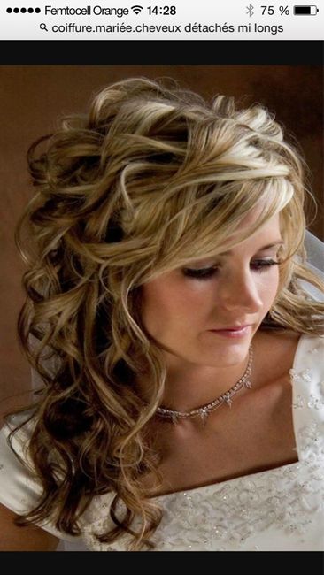 Coiffure mariée sur cheveux noir - 3