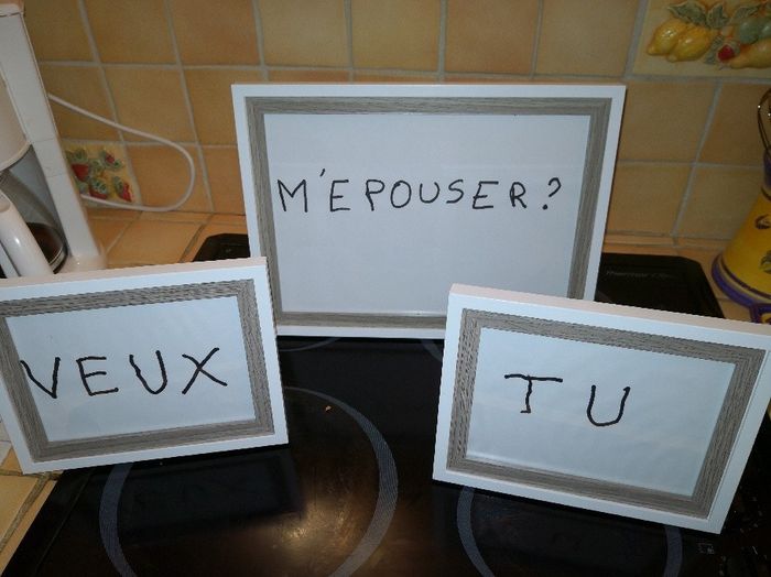 Comment s'est passée la demande en mariage? - 1
