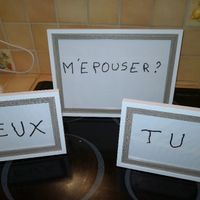 Comment s'est passée la demande en mariage? - 1