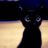 Coralie