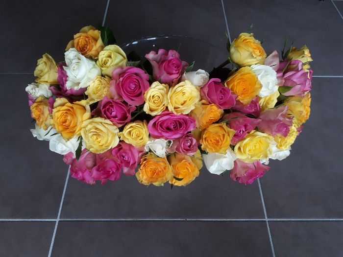 Fleurs :-) - 2