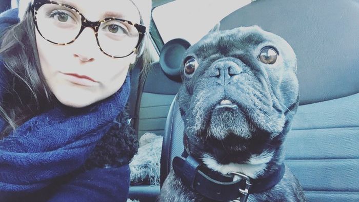 Pour ceux qui ont un chien - 1