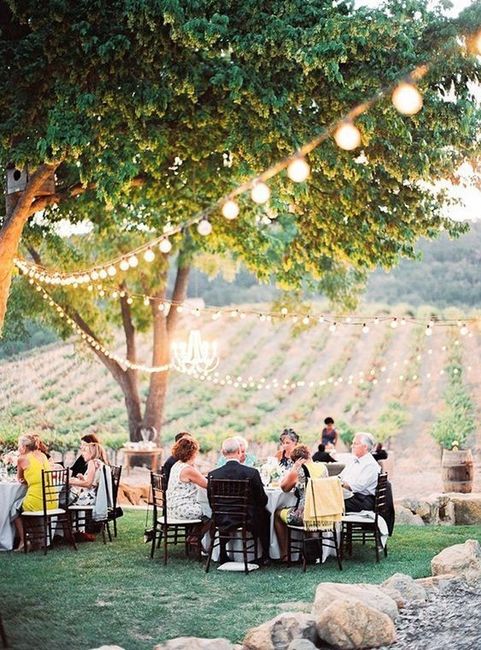 Inspiration le vin / la vigne - 2