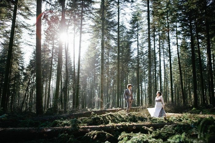 Inspiration forêt - 5