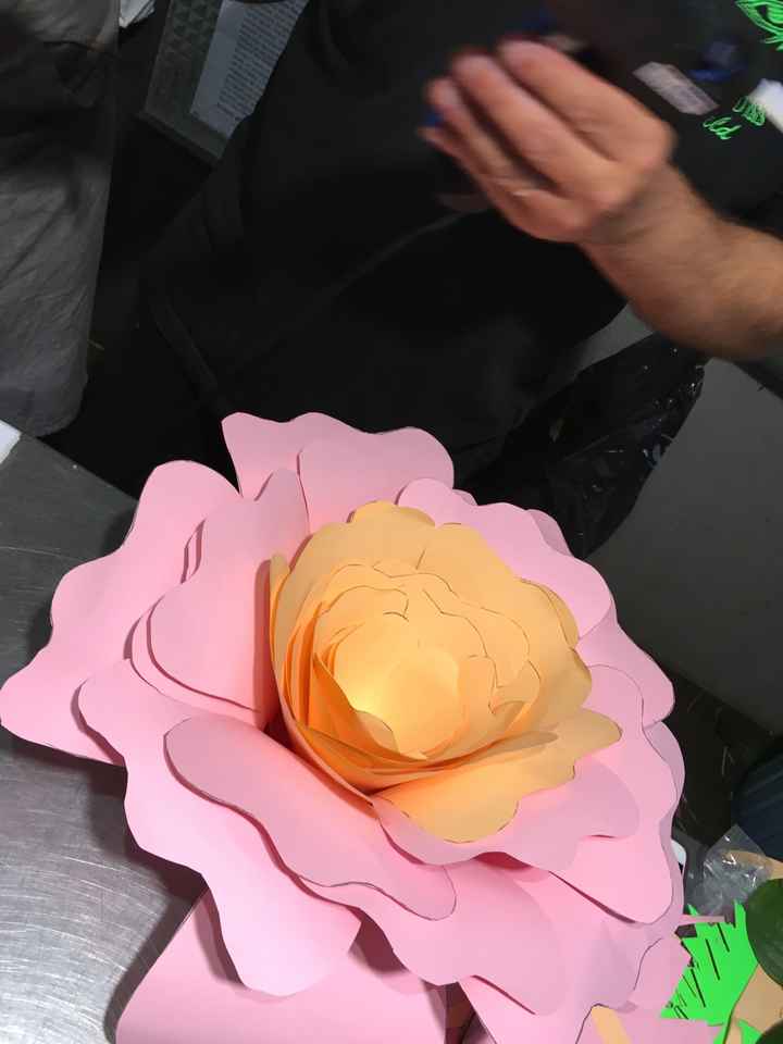Mur de roses - 2