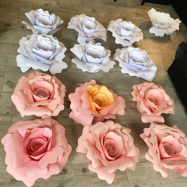  Fleurs géantes 2 eme round 😆🌸 Besoin de vos lumières 💡 - 3