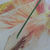 Mon coach the admin est... - 2