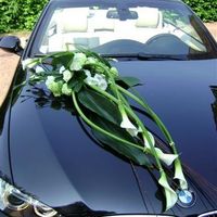 decoration de voiture 