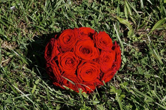 mon bouquet