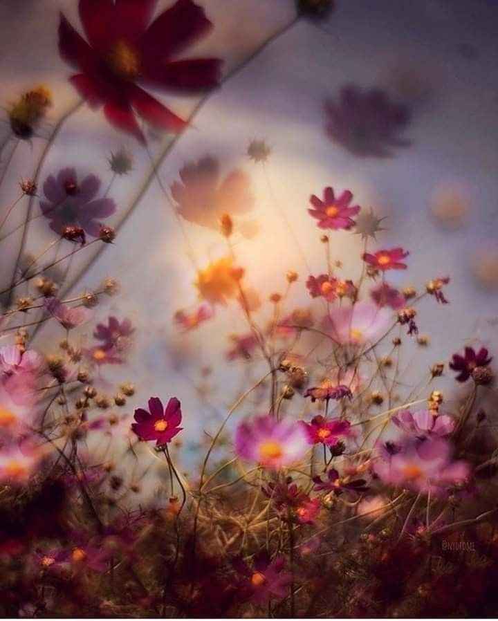 Cherche lieu de réception - 1