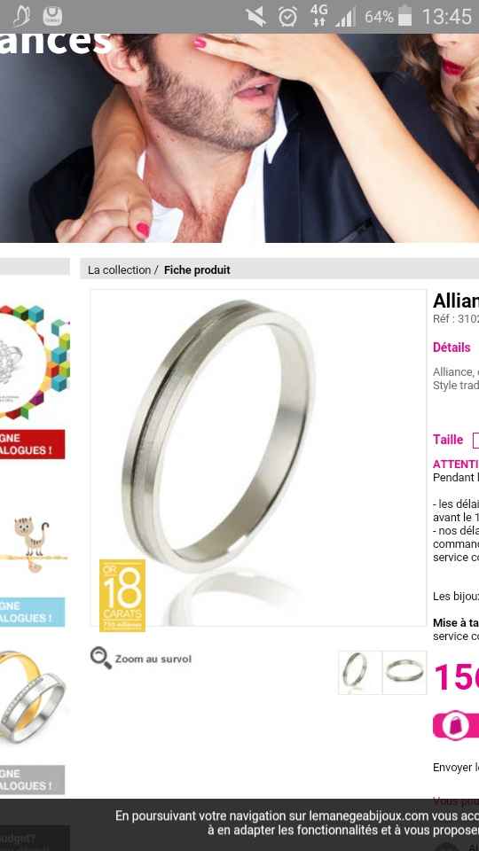 Alliances trouvée pour mini budget - 1