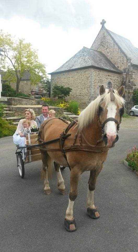 Et voilà nous somme marié - 2