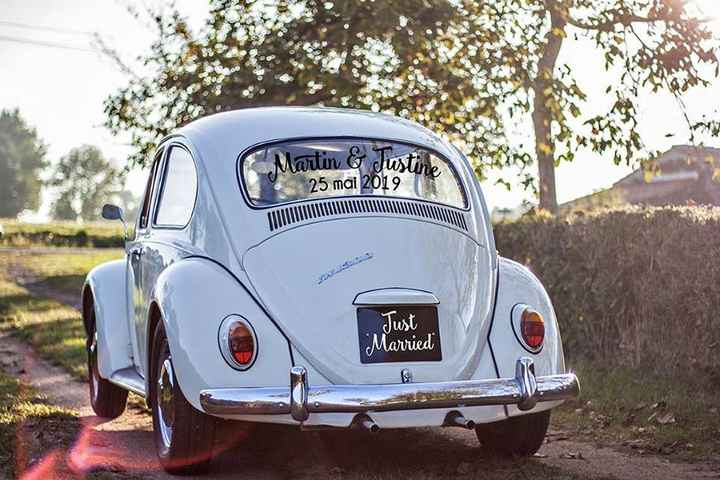 Coccinelle