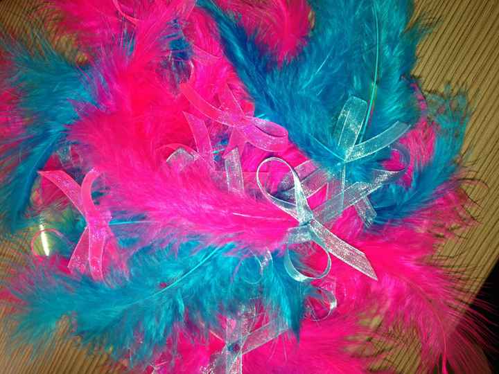 plume pour boite a dragés 