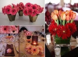 couleurs vives gerberas