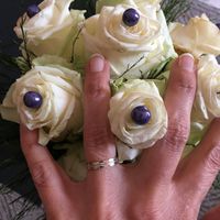 Noce de coton 💕🎉❤️ - 2