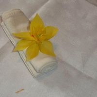 Coulant de serviette