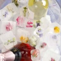 Besoin d'aide pour faire des glacons fleuris - 3