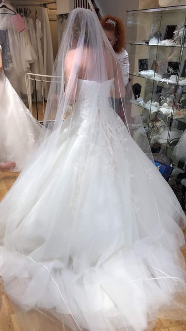 Essaie coiffure et nouvel essayage de robe - 2