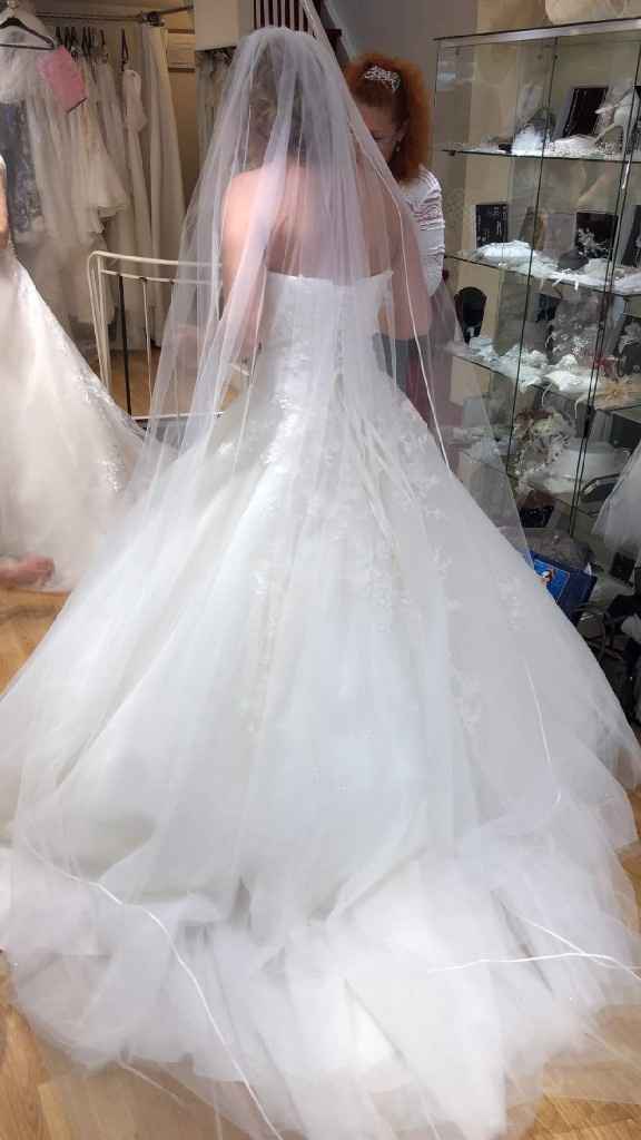 Essaie coiffure et nouvel essayage de robe - 2