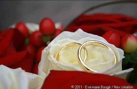 alliance   rose blanche