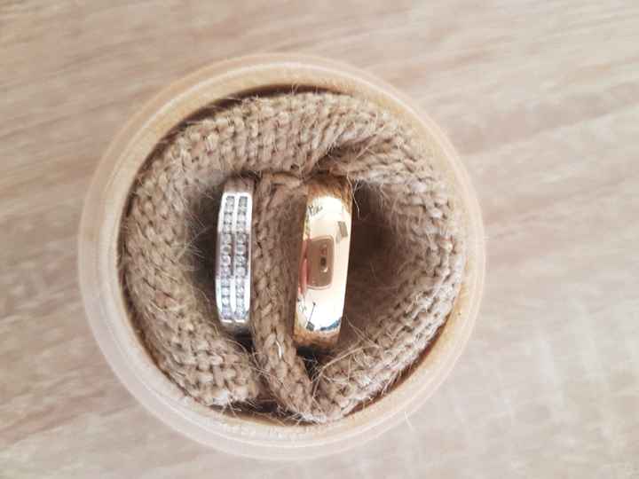 Alliances récupérées 😊 - 1